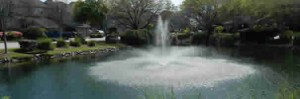 Pond fountain