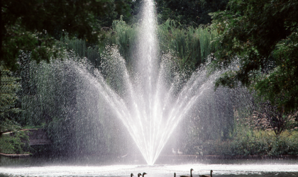 Loose Fountain